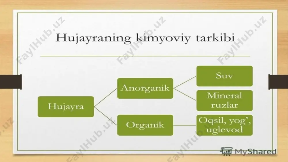professori m.s.svet ishlab chiqqan xromotografiya uslubi hozirgi kunda ham qo‘llaniladi. k.a.temiryazevning fotosintez borasidagi ishlari biokimyo, xususan fiziologik kimyo fani taraqqiyotga naqadar muhim ahamiyatga ega ekanligini o‘quvchi botanika, o‘simliklar fiziologiyasi, bioximiya darsi jarayoni va ilmiy tadqiqot ishlarini olib borish jarayonlaridan yaxshi biladilar. k.a.temiryazevning shogirdlari v.i.palladin biologik oksidlanish muammosi, d.p.pryanishnikov o‘simliklarning azot almashinuvi, v.s.butkevich bioximiya fanini, o‘simliklarda oqsil va oqsil almashinuvi nazariyasini yaratishi bu fanni rivojida katta hissa qo‘shadi. antibiotiklarning yangi xillarini sintez yo‘li bilan yaratilishi, ularni tozalash uslublarini ishlab chiqish, mikrobiologik sintezning yangi uslublarini yaratish borasidagi izlanishlar, hamda biologik aktiv birikmalar, vitaminlar, defitsit aminokislotalar, nukleotidlar va boshqalarni sintez yo‘li bilan yaratish shular jumlasiga kiradi. bioximiya o‘z taraqqiyoti davomida yuqorida ta’kidlanganidek xususiy yo‘nalishlar texnik va sanoat bioximiyasi, o‘simliklar, hayvonot olami va odam bioximiyasi, vitaminlar, enzimlar, evolyutsion bioximiya singari yo‘nalishlarda ish olib borib, yuksak muvaffaqiyatlarga erishganligi muqarrar. texnik va sanoat bioximiyasida xalq xo‘jaligi uchun zarur, rentabel xom ashyosini yaratish, ularni saqlash, ratsional foydalanish …