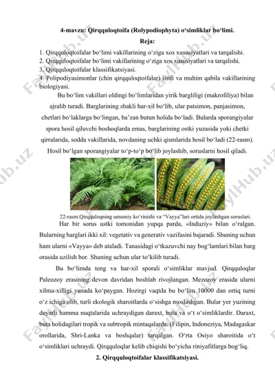 qirqquloqtoifa (rolypodiophyta) o‘simliklar bo‘limi — DOCX