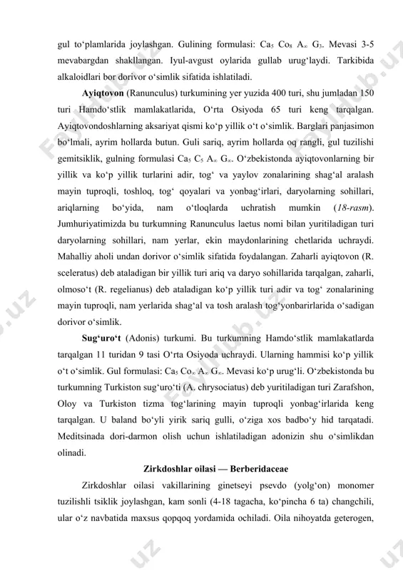 bu turkumning hamdo‘stlik mamlakatlarda tarqalgan 11 turidan 9 tasi o‘rta osiyoda uchraydi. ularning hammisi ko‘p yillik o‘t o‘simlik. gul formulasi: ca5 co∞ a∞ g∞. mevasi ko‘p urug‘li. o‘zbekistonda bu turkumning turkiston sug‘uro‘ti (a. chrysociatus) deb yuritiladigan turi zarafshon, oloy va turkiston tizma tog‘larining mayin tuproqli yonbag‘irlarida keng tarqalgan. u baland bo‘yli yirik sariq gulli, o‘ziga xos badbo‘y hid tarqatadi. meditsinada dori-darmon olish uchun ishlatiladigan adonizin shu o‘simlikdan olinadi. zirkdoshlar oilasi — berberidaceae zirkdoshlar oilasi vakillarining ginetseyi psevdo (yolg‘on) monomer tuzilishli tsiklik joylashgan, kam sonli (4-18 tagacha, ko‘pincha 6 ta) changchili, ular o‘z navbatida maxsus qopqoq yordamida ochiladi. oila nihoyatda geterogen, uning karpologiyasi palenologik tuzilishi gul, meva va urug‘ining tuzilishi, vegetativ organlarining ichki va tashqi tuzilishi bilan bir-biridan keskin farq qiladi. oilaning 12 turkumga mansub 600 dan ortiq turi yer yuzining turli iqlim sharoitlarida tarqalgan. oila vakillari asosan o‘rta iqlimli mintaqada uchraydi. ular ko‘p yillik o‘t va buta o‘simlik. barglari murakkab …