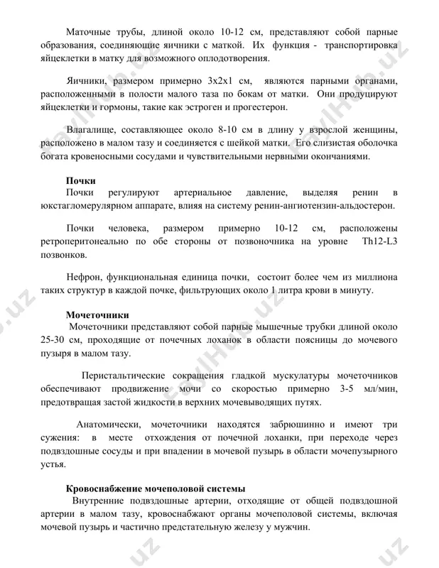почки почки регулируют артериальное давление, выделяя ренин в юкстагломерулярном аппарате, влияя на систему ренин-ангиотензин-альдостерон. почки человека, размером примерно 10-12 см, расположены ретроперитонеально по обе стороны от позвоночника на уровне th12-l3 позвонков. нефрон, функциональная единица почки, состоит более чем из миллиона таких структур в каждой почке, фильтрующих около 1 литра крови в минуту. мочеточники мочеточники представляют собой парные мышечные трубки длиной около 25-30 см, проходящие от почечных лоханок в области поясницы до мочевого пузыря в малом тазу. перистальтические сокращения гладкой мускулатуры мочеточников обеспечивают продвижение мочи со скоростью примерно 3-5 мл/мин, предотвращая застой жидкости в верхних мочевыводящих путях. анатомически, мочеточники находятся забрюшинно и имеют три сужения: в месте отхождения от почечной лоханки, при переходе через подвздошные сосуды и при впадении в мочевой пузырь в области мочепузырного устья. кровоснабжение мочеполовой системы внутренние подвздошные артерии, отходящие от общей подвздошной артерии в малом тазу, кровоснабжают органы мочеполовой системы, включая мочевой пузырь и частично предстательную железу …