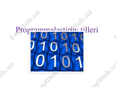 programmalastırıw sistemaları — PPTX