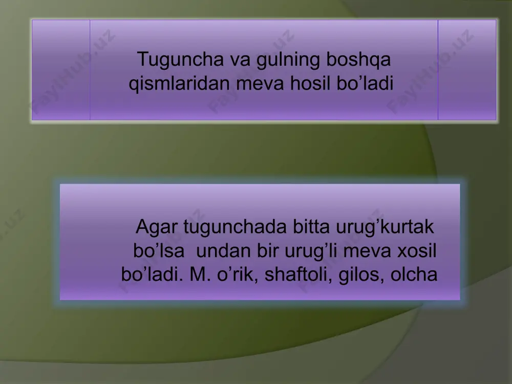 gullarning changlanishi - Page 5