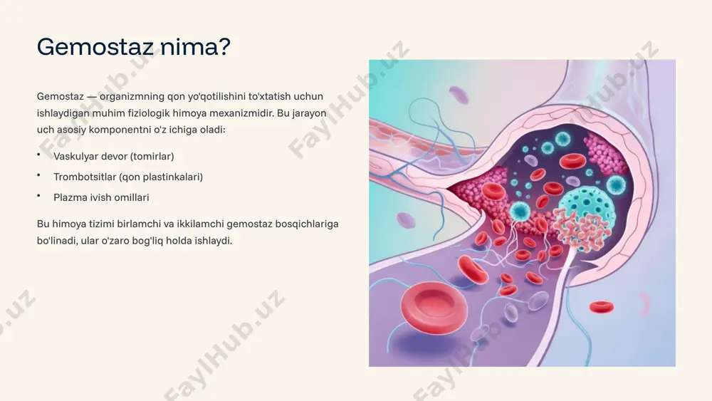 ish, qon quyilishining mexanik xususiyatlarini baholash imkoniyati gemostaz va fibrinolizni laboratoriya mashg'uloti amaliy mashg'ulot bosqichlari: xavfsizlik qoidalari bilan tanishish va himoya vositalarini kiyish qon namunalarini to'g'ri olish va saqlash usullari koagulogramma testlarini o'tkazish (pt, aptt) fibrinogen miqdorini aniqlash d-dimer darajasini o'lchash tromboelastografiya (teg) yoki rotem tajribasi natijalarni tahlil qilish va klinik holatlarga bog'lash laboratoriya mashg'uloti davomida talabalar zamonaviy uskunalar yordamida gemostaz va fibrinoliz jarayonlarini amalda o'rganadilar. xulosa gemostaz himoyasi gemostaz organizm uchun hayotiy muhim himoya mexanizmi bo'lib, qon yo'qotilishini oldini oladi va gomeostazni saqlaydi. fibrinoliz vazifasi fibrinoliz qon quyilishini bartaraf etib, to'qimalarni tozalaydi va organizmda muvozanatni saqlashga yordam beradi. diagnostika ahamiyati laboratoriya testlari gemostaz va fibrinoliz buzilishlarini aniqlash, tashxis qo'yish va davolash strategiyasini belgilash uchun zarur. bilimlarni qo'llash gemostaz va fibrinoliz mexanizmlarini bilish ko'plab kasalliklarni tushunish va davolash uchun asosdir. savollarga javob berish uchun tayyorman. rahmat! e'tiboringiz uchun rahmat image1.png image2.png image3.png image4.png image5.png image6.png image7.png image8.png image9.png image10.png image11.png …