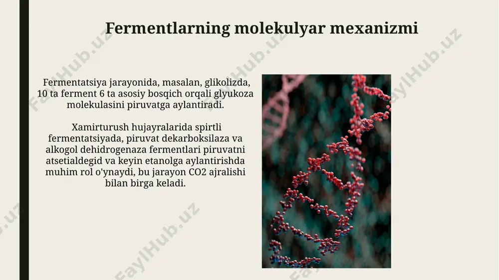 i, masalan, o'simlik yog'lari. membranalar tuzilishi membrananing suyuqlik xususiyati uning tarkibidagi xolesterin miqdori va to'yinmagan yog' kislotalarning nisbati bilan belgilanadi. membranalar asosan 2 qatlamli fosfolipidlardan tashkil topgan bo'lib, ularning gidrofob qismlari ichkariga, gidrofil qismlari esa tashqariga qaragan. dnk replikatsiyasi va transkripsiyasi eukaryotik hujayralarda transkripsiya yadroda sodir bo'lib, hosil bo'lgan pre-mrnk molekulasi keyinchalik splaysing va boshqa modifikatsiyalardan o'tadi, bu esa o'rtacha 10000 dan ortiq nukleotid uzunligiga ega yetuk mrnkni hosil qiladi. transkripsiya jarayonida rnk polimeraza dnkning ma'lum bir qismini shablon sifatida ishlatib, unga komplementar rnk molekulasini sintezlaydi, bu jarayonda promotor va terminator kabi regulyator ketma-ketliklari muhim rol o'ynaydi. e'tiboringiz uchun rahmat @taqdimot_robot image1.jpg image2.jpg image3.jpg image4.jpg image5.jpg image6.jpg image7.jpg image8.jpg image9.jpg image10.jpg image11.jpg image12.jpg