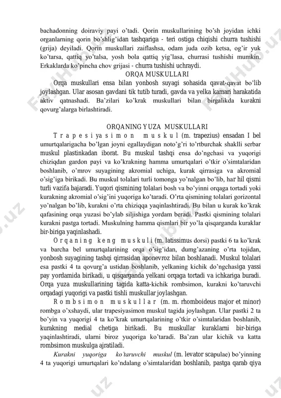 kul uchraydi. b e l n i n g k v a d r a t m u s k u l i (m. quadratus lumborum) yonbosh suyagining qirrasidan boshlanib, bel umurtqalarining yon o’simtasiga va xii qovurg’aga birikadi. bu muskul qisqarganda qovurg’ani pastga tortadi (nafas chiqarishda ishtiroq etadi), umurtqa pog’onasini orqaga va yonga bukadi. oraliq muskullar odam ajdodlaridagi ayrim dum va qorin muskullarining o’zgargan xili hisoblanadi. ular qorinning pastki tomonidan ichki organlarni tutib turadi. bu muskullar siydik va najas chiqarish kanalining sfinkteri sifatida bir vaqtda harakatlanadi. odam doim jismoniy mashq bilan shug’ullanishi natijasida ko’krak va qorin muskullari yaxshi rivojlanadi. qayiqda suzish, gimnastika mashg’ulotlari, yugurish kabi sport o’yinlari ko’krak qafasi muskullarining yaxshi rivojlanishiga sabab bo’ladi. qorin muskullarining presslash funksiyasi ortadi. buning natijasida nafas olish organlari, yurak-qon tomirlar sistemasi yaxshi rivojlanadi, ya’ni o’pkalarning tiriklik sig’imi yuqori bo’ladi. yurakning sistolik hajmi ortadi. bunday odamlarda ko’krak qafasi aylanasining o’lchami katta bo’ladi. ch o v …