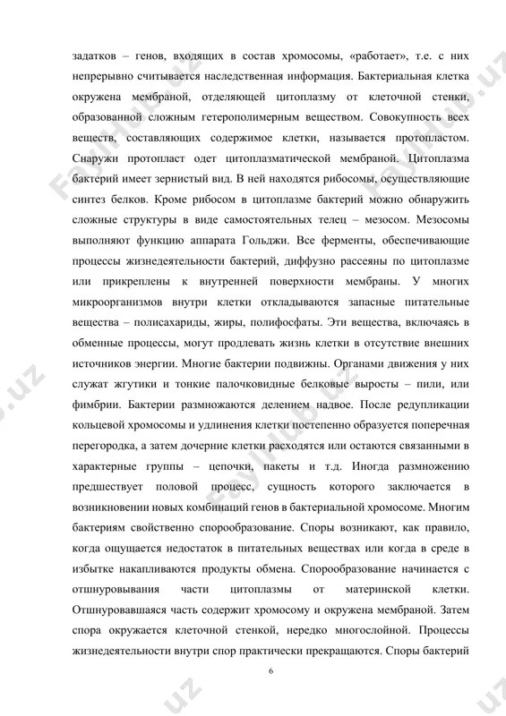 mu i okrujena membranoy. zatem spora okrujaetsya kletochnoy stenkoy, neredko mnogosloynoy. protsessi jiznedeyatelnosti vnutri spor prakticheski prekrashayutsya. spori bakteriy v suxom sostoyanii ochen ustoychivi. v takom sostoyanii oni soxranyayut jiznesposobnost mnogie sotni i daje tisyachi let, viderjivaya rezkie kolebaniya temperaturi. primerom etogo mogut slujit spori, obnarujennie v drevnix zaxoroneniyax. popadaya v blagopriyatnie usloviya, spori preobrazuyutsya v aktivnuyu bakterialnuyu kletku. takim obrazom, sporoobrazovanie u prokariot yavlyaetsya etapom jiznennogo tsikla, obespechivayushim perejivanie neblagopriyatnix usloviy okrujayushey sredi. krome etogo, v sostoyanii spor mojet proisxodit rasprostranenie mikroorganizmov pri pomoshi vetra i drugimi sposobami. v zavisimosti ot razmerov i tipa obolochki bakteriy razlichayut na: grampolojitelnie – imeyut grubuyu zashitnuyu stenku i yavlyayutsya prichinoy bolshinstva opasnix dlya cheloveka zabolevaniy. naprimer, stolbnyak i pnevmoniya, sepsis. gramotritsatelnie – otlichayutsya tonkim kletochnim sloem. zabolevaniya, kotorie imi vizivayutsya menee opasnie, no esli ne lechitsya, to eto mojet privesti k letalnomu isxodu. bolshinstvo respiratornix zabolevaniy, yazva jeludka, meningit, vizivayutsya etoy formoy …