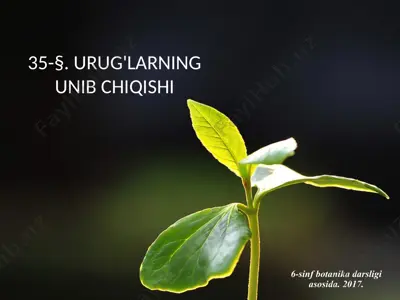urug'larning unib chiqishi. 6 - sinf — PPTX