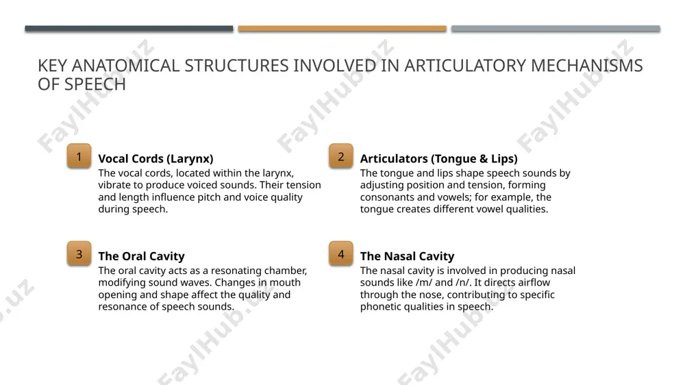 tural and linguistic diversity in speech production cultural influences on speech cultural backgrounds shape speech patterns, affecting pronunciation, intonation, and rhythm, reflecting societal norms and communication styles across communities. language-specific articulations different languages emphasize unique sounds and articulation points, leading to phonetic variations that mirror linguistic structures and phonological rules. regional dialects and variations regional accents influence speech sound production, with dialectal features like vowel shifts or consonant pronunciations highlighting linguistic diversity within cultures. socioeconomic factors and speech socioeconomic status can impact speech features, where exposure to different linguistic environments results in distinct articulatory characteristics and phonetic traits. conclusions 1 key elements of speech production speech production relies on respiratory support, vocal fold vibrations, and articulatory modulation, which work together to generate clear, distinct sounds across languages. 2 influence of anatomy and language traits vocal tract anatomy and language-specific features like vowel harmony significantly shape how sounds are articulated, reflecting …