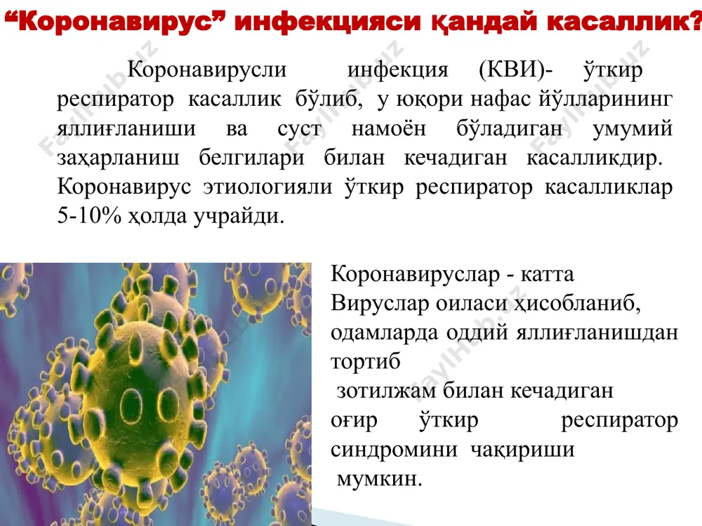 латларда инфекция бемор билан яқин мулоқотда бўлган шахсларда кузатилган. касаллик ер юзида кенг тарқалган бўлиб катта ёшдаги инсонларнинг 80% ида вирусга қарши антителанинг борлиги аниқланган. мавсумга қараб коронавирус инфекцияси барча юқори нафас йўллари касалликларининг 10-35% ини ташкил қилади. коронавирус инфекцияси кузнинг охири, қиш ва баҳорнинг бошларида (риновирусли инфекция кам учраганда) кўп учрайди. эпидемиологияси касаллик клиникаси вирус юққандан сўнг 2-4 кун ўтгандан кейин намоён бўлади. касаллик ўткир, тана ҳароратининг ошиши, яққол ривожланмаган умумий заҳарланиш белгилари билан бошланади. шунингдек, болаларда нафас олганда кўкрак қафасида оғриқ, йўтал, қуруқ ҳуштаксимон хириллашлар эшитилади. клиник кечиши коронавирус инфекцияси ўткир пневмония билан асоратланиши мумкин. кўкрак қафаси рентгенографиясида ўчоқли ёки интерстициал инфильтратлар аниқланади. оғир ҳолларда нафас олиш аъзолари фаолияти ёмонлашиб, иккинчи ҳафтада касаллик респиратор дистресс-синдром ривожланиши, катталарда бу турли аъзолар дисфункцияси билан кузатилиши мумкин. баъзан бўйин лимфа тугунлари катталашади. гуруҳли касалланиш, асосан бир оила вакиллари ёки болалар орасида; мавсумийлик– қиш ва баҳор фасллари; яширин даври- 2-4 кун; касалликнинг …