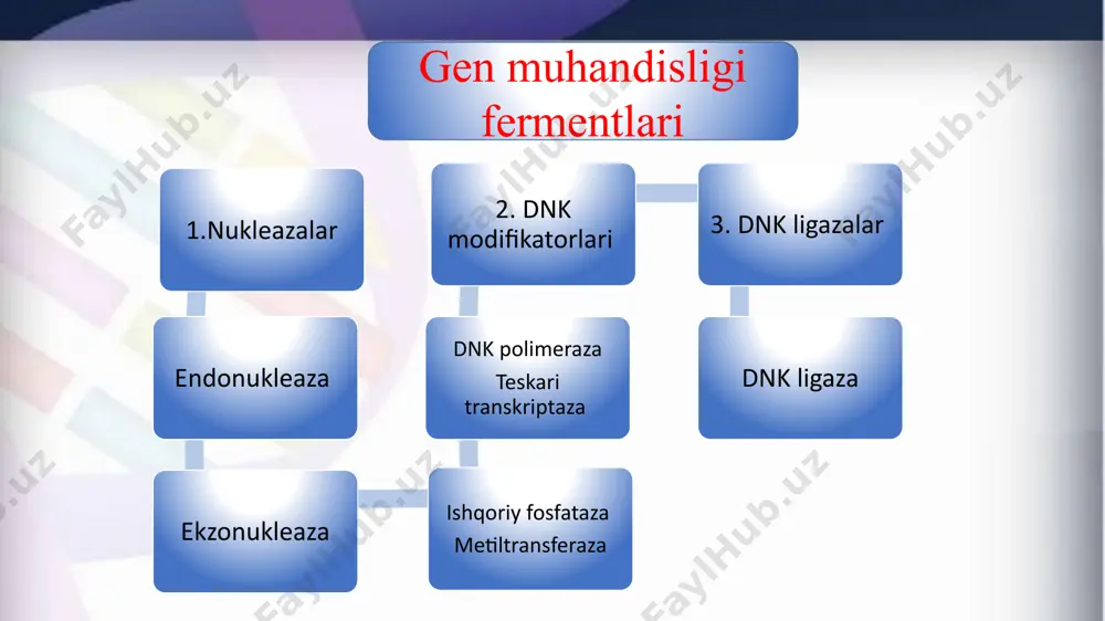 kleazalar dnk molekulasi bo‘lagi yoki xalqasimon dnk molekulasining ichki ketma-ketliklaridan boshlab parchalaydi. ligazalar. 1961-yil mezelson va veygl fag 1 misolida rekombinatsiyaning mohiyati dnk molekulalarining kesilishi va keyinchalik birlashishidan iboratligini ko‘rsatganlar. bu dnkfragmentlarining tikilishida qatnashadigan fermentlami topishga sabab bo‘lgan. 1967-yil bunday ferment topilgan va ular dnk-ligazalar deb nomlangan. bu ferment nuklein kislotalarning ikki zanjirli molekulasidagi fosfodiefir bog‘ni katalizlaydi. dnk-ligazalar dnk reparatsiyasi jarayonlarida, replikatsiyada juda kerakdir. dnk-ligazalar kofaktorga bo’lgan zaruriyati va ta’sir qilish xususiyatiga ko‘ra 2 tipga ajratiladi. e. coli ning dnk-ligazasi kofaktor sifatida difosfopiridinnukleotidni, t4-fagining ligazasi esa mg ioni ta’sirida atf ni ishlatadi. murakkab, yirik genlarni sintezlash imkoniyati teskari transkripsiya jarayonining kashf etilishi natijasida mumkin bo‘ldi. teskari transkripsiya deb, i-rnk negizida komplementar dnk molekulasining sintezlanishiga aytiladi. bu jarayon teskari transkriptaza fermenti ta’sirida namoyon bo‘lishligi aniqlandi. teskari transkriptaza fermenti 1970-yilda tyo‘min va mizutani tomonidan kashf etilgan. 1972-yilda kasion va uning xodimlari odamning globin genini bu metod yordamida sun’iy sintezlashdi. 1973-yilda rossiya va …