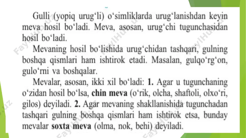 mevalar - Page 2