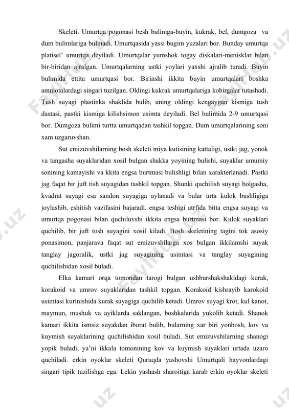 ketadi. umrov suyagi krot, kul kanot, maymun, mushuk va ayiklarda saklangan, boshkalarida yukolib ketadi. shanok kamari ikkita ismsiz suyakdan iborat bulib, bularning xar biri yonbosh, kov va kuymish suyaklarining quchilishidan xosil buladi. sut emizuvshilarning shanogi yopik buladi, ya’ni ikkala tomonining kov va kuymish suyaklari urtada uzaro quchiladi. erkin oyoklar skeleti quruqda yashovshi umurtqali hayvonlardagi singari tipik tuzilishga ega. lekin yashash sharoitiga karab erkin oyoklar skeleti kushli uzgarishi mumkin. keyingi oyogida sut emizuvshilarga xos bulgan tupik suyagi va tizza kosasi suyagi buladi. muskul sistemasi juda takomillashgan va xilma-xildir. kukrak va korin bo’shliqlarining ajratib turadigan gumbazsimon diafragma muskuli juda xarakterlidir. bu muskul nafas olish vaktida ishtirok etadi, ya’ni kukrak kafasining xajmini uzgartirib turadi. terini xarakatga keltirib turuvshi teri osti muskuli kushli rivojlangan. ayniksa, maymunlarda kushli rivojlangan va bosh skeletni yuz kismida joylashgan mimika muskullari dikkatga sazovordir.