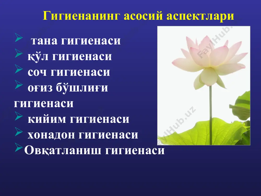 “йиғиштириб турилган жой эмас, ифлослантирилмаган жой тоза”. хонадоннинг ҳавоси таркибида юздан зиёд кимёвий бирикмалар бўлиши мумкин. хонадондаги ҳаво таркибида зарарли ва заҳарли моддаларни йиғилиб колмаслиги учун дераза дарчалари ва ҳаво тортгичларнинг доимо очиқ бўлишини таъминланг ва хоналарни доимо шамоллатиб туринг. ҳар куни хоналарни намли латталар билан артиб туринг. хонадонларда зараркунанда хашоратларни пайдо бўлишига тускинлик килинг. хонадонда ахлат йиғилишга йўл қуйманг. чиқиндиларни умуман ёқманг! овқатланиш гигиенаси овқатланиш илми талабидан хабардор бўлинг ва унга амал қилинг овқат исъемолида унинг хавфсизлигини таъминланг. овқат исъемолида унинг тозалигига нихоятида эътибор беринг. овқатни танлаб, мавсумга қараб, ишингиз оғир енгилига қараб, хос холда истеъмол қилинг. feet massage