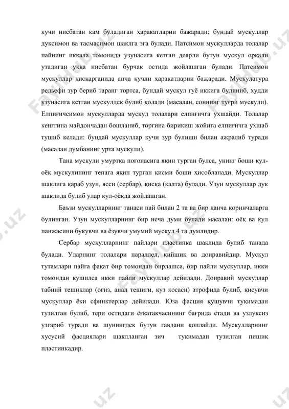 имадан тузилган пишиқ пластинкадир. улар мускулларнинг ёнига силжишига тусқинлик қилади ва айрим мускулларнинг якка қисқаришига ёрдам беради. хусусий фасциялар қалин тортиб доиравий боғламларни ҳосил қилади. улардан каналлар ҳосил булади. мускул ва пайларнинг ёпишиш жойларида шиллиқ халталар бор, улар суяк думбоқларига, дунгларига тегиб ишқаланишни камайтиради. мускулларнинг асосий хоссаси - қисқарувчанлигидир. у узун булса қисқариш амплитудаси шунча катта булади. бир хил функцияни бажарадиган мускуллар синергистлар дейилади, қарама-қарши ҳаракатни бажарувчи мускуллар антогонистлар дейилади. мураккаб мускуллар: танада икки бошли, уч, турт бошли, икки қоринли, тишсимон мускуллар мавжуд. мускуллар буғим орқали баъзан 2 ёки ундан ортиқ буғим орқали утиб ҳаракатни келтириб чиқаради. масалан, елка мускулининг боши елка суягида бирикадиган қисми тирсак суягида тирсак буғим орқали билакни букишга сабаб булса, қулнинг елка орқасида жойлашган қарама-қарши таъсир курсатувчи уч бошли мускул эса ростлайди (антогонист). бу мускул ёзувчи мускуллар жумласига киради. одам гавдасининг мускуллари қуйидагичадир: бош, буйин, кукрак, орқа думба, диафрагма, қорин, қул, елка, билак, панжа, оёқ ва …
