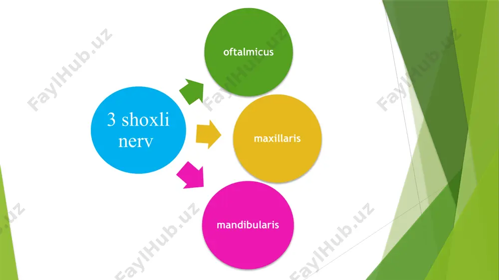 ulsantlar (karbamazepin , gabapentin , pregabalen) antidepressantlar (amitriptillin) α-lipoat kislotalar(tioktatsid, espa-lipon, berlition) neyrotrop vitaminlar(milgamma, neyromultivit, benfogamma) miorelaksantlar (baklofen, sirdalud) neyromodulyatsiya – kimyoviy, fizik botulotoksin og’riqqa bog’liq holda terapiya sxemasi слабая боль карбамазепин внутрь никотиновая кислота в/м амитриптилин внутрь фонофорез лидокаина акупунктура боль средней интенсивности карбамазепин внутрь баклофен внутрь диазепам внутрь магнитолазеротерапия сильная боль карбамазепин внутрь натрия оксибутират в/в диазепам в/м амитриптилин в/м лечение невралгического статуса (1-3 сут) утро карбамазепин внутрь мексидол в/в капельно диазепам в/в локальные блокады с анестетиком в 12 часов – карбамазепин внутрь день карбамазепин внутрь лидокаин в/в капельно трамадол в/в натрия оксибутират в/в в 18 часов – карбамазепин внутрь вечер амитриптилин в/м карбамазепин внутрь диазепам в/м novokain blokadasi zonalari uch shoxli nerv arterial va venoz kompressiyasi operatsiya mikrovaskulyar dekompressiya muftasimon polipropilen perotektor e’tiboringiz uchun raxmat! image1.jpeg image2.jpeg image3.jpeg image4.jpeg image5.jpeg image6.jpeg image7.jpeg image8.png image9.png image10.jpeg image11.jpeg image12.jpeg image13.jpeg image14.jpeg image15.jpeg image16.jpeg /docprops/thumbnail.jpeg