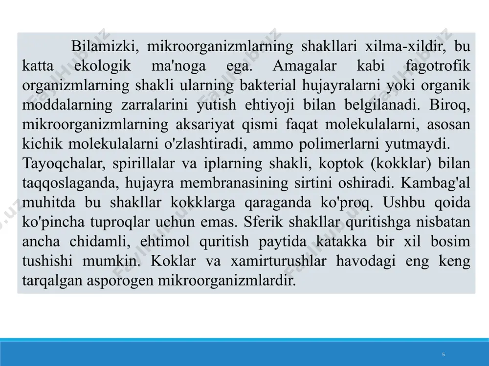 holda) yoki o'z vaqtida ajratilganda kuzatilishi mumkin. agar populyatsiyalar kosmosda bo'linmasa, unda bunday holat taxminiy bo'lib ko'rinadi. shu bilan birga, turli xil ehtiyojlarga ega mikroorganizmlar mavjud, masalan, ammoniy miqdori yuqori bo'lgan sharoitda nitrifikatsiya qiluvchi moddalar. 2. raqobat (to'g'ridan-to'g'ri o'zaro ta'sir) - ikkala turni to'g'ridan-to'g'ri o'zaro bostirish. antagonist mikroblar bir-biriga qarshi ta'sir qiluvchi antibiotiklarni hosil qiladi. 3. resurslar uchun raqobat - har ikkala turda foydalaniladigan biron bir omil etishmasligi natijasida yuzaga keladigan bilvosita bostirish. bu raqobatning eng keng tarqalgan turi: organik moddalar, azot, fosfor va kaliy manbalari, temir, iz elementlari, vitaminlar, suv, yorug'lik va boshqalar uchun. odatda, tezroq o'sadigan yoki tarqoq holatdan narsalarni o'zlashtira oladigan organizm g'olib chiqadi. maxsus sideroforalar yordamida mikroorganizmlar temir uchun kurashadi. 20 4. amensalizm (sheriklar emas) - bir populyatsiya boshqasini bostiradi, lekin o'zi salbiy ta'sir ko'rmaydi (boshqa mikroorganizmga qarshi antibiotik hosil qiluvchi antagonist mikrob va sezgir mikroorganizm). 5. parazitizm - parazit uy egasi hisobiga mavjud, ba'zan uni …
