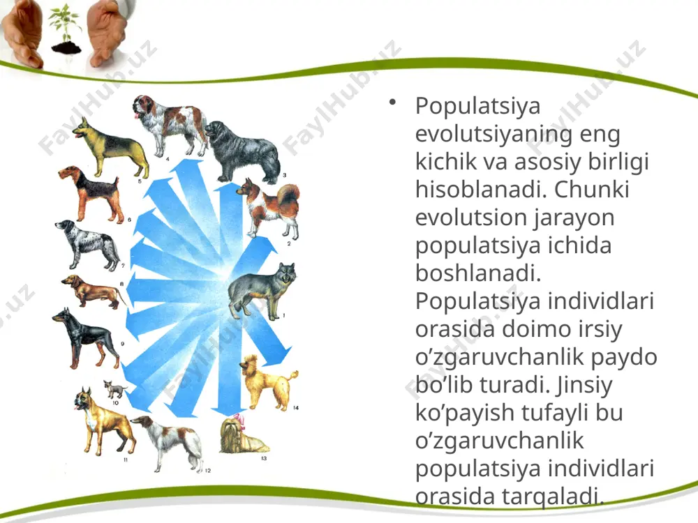 evolutsiyaning sintetik nazariyasi. 10 - sinf - Page 4