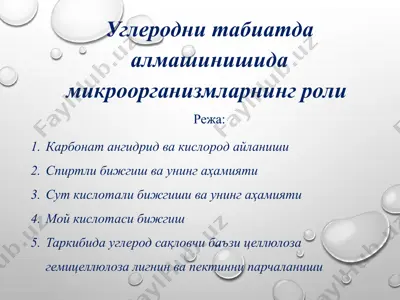углеродни табиатда алмашинишида микроорганизмларнинг роли — PPTX
