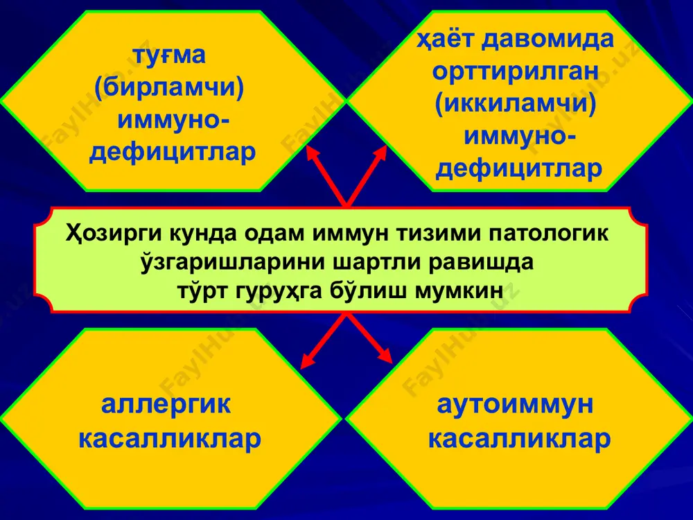 племент тизими дефицитлари комплементни c1 - c9 компонентлари етишмаслиги баъзи ҳолларда с3 конвертаза ҳосил бўлишининг бузилиши кузатилади. бунда асосан конвертазани ҳосил қилувчи компонентлар етишмаслиги рўй беради. бу етишмовчилик учун характерли хусусият – кўп ҳолатда системали қизил волчанка касаллиги кузатилади. бунинг натижасида организм иммунобиологик реакциясининг пасайиб кетиши ёки антиген-антитело комплексининг элиминацияси бузилади. бундан ташқари одамда комплементнинг с5, с6, с7, с8 ва с9 компонентлари дефицитлари ҳам кузатилади, лекин бу етишмовчиликларда одам соғлом бўлиши мумкин, баъзан беморларда баъзи бир қўзғатувчиларга (сўзак ва эпидемик менингит қўзғатувчиларига) сезувчанлиги ошиб қолади. шундай қилиб комплемент компонентлари етишмовчиликларида одам организмида маълум кўринишда патологик ўзгаришлар келиб чиқади. бу эса юқумли, йирингли касалликлар келиб чиқишига йўл очиб бериши мумкин. нейтрофиллар функцияларининг бузилишлари. мононуклеар фагоцитлар тизими касалликларига сурункали грануломатоз киради. бу касалликда моноцитлар ва полиморф ядроли лейкоцитлар фагоцитоз қилинган микроорганизмларни ҳазм қила олмайди, чунки уларда фаоллашган кислород молекулаларининг ҳосил бўлишида қатнашувчи цитохром ферменти етишмайди. бунинг натижасида фагоцит ҳужайраларида фагоцитоз қилинган микроорганизмларни …