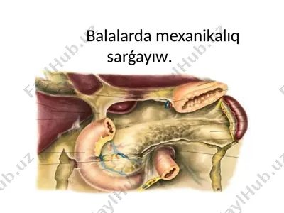 mexanikalıq sarǵayıw — PPTX