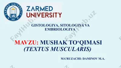 mushak to‘qimasi (textus muscularis) — PPTX