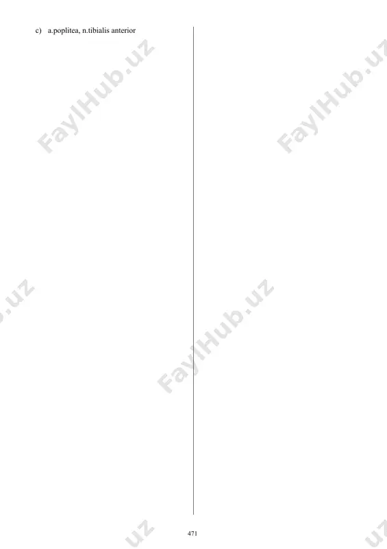 шакнинг кон билан таминланиши ва иннервацияси a) a. axillaris, n.axillariis* b) a. subclavia, n.radialis c) a. brachialis, n.ulnaris d) a. axillaris, n.musculocutaneus e) a. subclavia, n.axillaris 8. кровоснабжение и иннервация диафрагмы- диафрагманинг кон билан таминланиши ва иннервацияси a) a. phrenica.superior et inferior, a. musculophrenica, a. pericardiophrenica, n.phrenicuss* b) a. phrenica.superior et posterior, a. thoracica.internae, a. pericardiaphrenica, n.intercostalis c) a. phrenica.superfacialis et profundus, a. intercostalis posterior, a. musculophrenica, n.axillaris d) a. musculophrenica, a. pericardiaphrenica, n.intercostalis posterior, n.phrenica.superior e) a. thoracica.interna, a. epigastrica.superior, a. gastrophrenica, n.musculophrenica 9. кровоснабжение и иннервация задней группы мышц бедра-соннинг орка гурух мушакларини кон билан таминланиши ва иннервацияси a) a.profunda.femoris, n.ischiadicuus* b) a. femoraris, n.femoralis c) a. obturatoria, n.obturatorius d) a. poplitea, n.ischiadicus e) a. femoralis, n.ischiadicus 10. кровоснабжение и иннервация медиальной группы мышц бедра-соннинг медиал гурух мушакларини кон билан таминланиши ва иннервацияси a) a.profunda femoris, n.obturatoriuss* b) a.femoralis, n.femoralis c) a.obturatorius, n.obturatorius d) a.poplitea, n.popliteus, e) a.femoralis, …