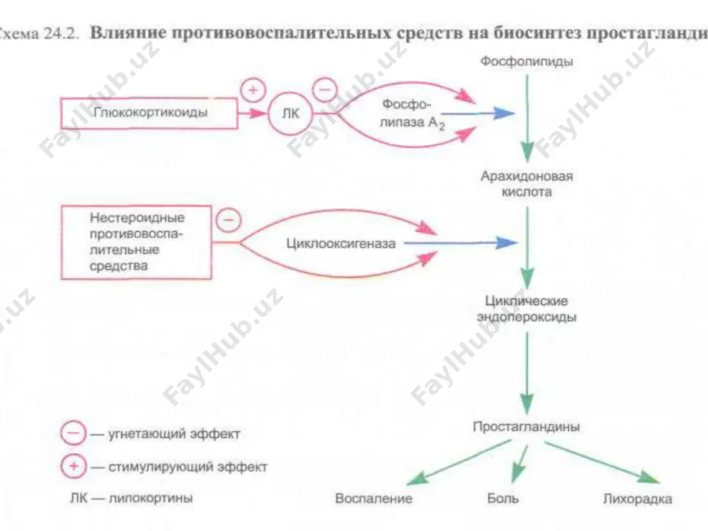 нувчи аллергияни даволаш воситалари 1.базофил ва семиз хужайралардан бфб(гиста- мин,серотонин,брадикинин)ни ажралишига тускинлик килувчилар: глюкокортикоидлар, 2-адреномиметиклар, кромолин натрий 2.гистамин рецепторларини блокловчилар: димедрол, дипразин, тавегил, супрастин, фенкарол, диазолин ,терфенадин,лоратадин 3.анафилактик шок белгиларини даф этувчилар -адреномиметикилар (адреналин) -миотроп бронхолитиклар (эуфиллин) 4.тукималар жарохатланишини сусайтир-чилар глюкокортикоидлар гистамин рецепторлари н1 рецепторлари. улар кузголса бронхлар ва ичаклар спастик кискариши,капиллярларни кенгайиши,кон босимини тушиши,тери ва шил лик каватлар утказувчанлигини ортиши булади н2 рецепторлар. улар кузголса меъда секре- цияси кучаяди,бачадон,томирлар,ичаклар тону си узгаради. н3 рецепторлари асосан мнсда жойлашган антигистамин препаратлар фк эътиборингиз учун рахмат. лист1 препарат фаоллиги соатлар мнс димедрол ++ 4дан 6 седатив, ухлат. тавегил +++ 8дан 12 кучсиз седатив супрастин ++ 4дан 6 кучли седатив дипразин ++++ 4дан 6 кучли седатив диазолин ++ 24дан 48 - фенкарол ++ 6дан 8 кучсиз седатив терфенадин ++ 12дан 24 кучсиз седатив лоратадин ++ 24 кучсиз седатив лист2 лист3 препаратфаоллигисоатлармнс димедрол++4дан 6седатив, ухлат. тавегил+++8дан 12кучсиз седатив супрастин++4дан 6кучли седатив дипразин++++4дан 6кучли седатив …