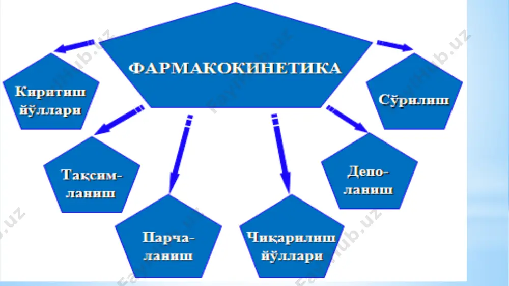 нтетик жараён бўлиб, у дори воситасига ёки унинг метаболитларига қатор кимёвий гуруҳчаларнинг ёки эндоген бирикмалар молекулаларининг бирикиши орқали янги, организмдан чиқариб юборилиши енгиллашган бирикмаларнинг пайдо бўлиши билан кечади дори воситалари, уларнинг метаболитлари ва конъюгатлари организмдан қуйидаги йўллар орқали ажратилади: буйраклар орқали; ўт орқали; ичак орқали; безлар орқали (сўлак безлари, меъда безлари, ичак безлари, кўз ёш безлари, тер безлари, эмизикли даврда сут безлари); ўпка орқали (газсимон воситалар, ингаляцион наркоз воситалари, этил спирти) дори воситаларининг қуйидаги таъсир турлари тафовут қилинади: 1. маҳаллий ёки чегараланган таъсир. 2. умумий ёки резорбтив таъсир . 3. асосий таъсир. 4. ножўя ёки нохуш таъсир. 5. бевосита ёки тўғридан-тўғри таъсир. 6. билвосита ёки бирор нарса орқали таъсир. 7. рефлектор таъсир. 8. специфик таъсир. 9. танлаб таъсир қилиш 10. қайтар таъсир 11. қайтмас таъсир 12. аллергик таъсир. 14. идиосинкразия 17. фетотоксик таъсир. 14. мутаген таъсир. 15. канцероген таъсир. 16. эмбриотоксик таъсир. 18. тератоген доза ва концентрaция дори воситаларининг таъсир …