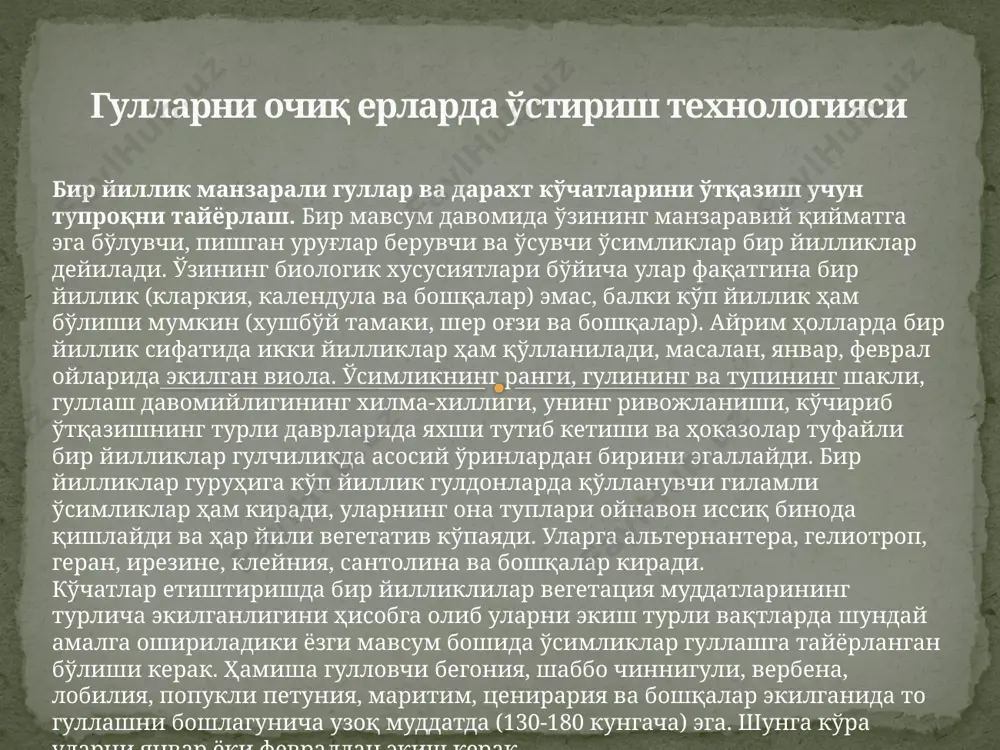 рдан тўкилган япроқлар турли туман кераксиз хас-хашаклар йиғилиб озроқ гўнг аралашмаси билан шу чуқурлар тўлдирилади ва устки томонига юпқа қилиб тупроқ балиқ сирти шаклида тортилади ва имкони борича имкони борича шакароб сепилади. бу омихтани қиш ўтиши биланоқ 1-2 марта аралаштириш талаб этилади. сўнг япроқ чириндиси ҳосил бўлади, бундай чириндилардан гулчиликда фойдаланилса яхши натижа беради. 2. манзарали дарахт кўчатларини ва гул уруғларини экиш. гулчиликда бир йиллик гуллар уруғидан экилади. экиш учун учта мавсум қўлланилади: куз, қиш ва баҳор. кузги экиш учун тупроқ, бахорги экиш сингари тайёрланади. кўчатларни кўчириб ўтқазишда ҳам худди шундай тортиб қўлланилади. уруғлар октябръ охири-ноябрь бошларида шундай ҳисоб билан экиладики, улар совуқ тушгунча униб чиқмасин. уларни олдиндан тайёрланган 1-3 см чуқур жўякларга экилади ва тайёрланган мулъча органик материал билан ёпилади. очиқ ерга экишда уруғлар сарфи кўчат етиштиришдан уч баробар кўпдир. қишда гул қор қатлами 15-20 см бўлганда, декабръ-январъ ойларида экилади.учаска кузда яхшилаб тайёрланади мўльчаллаш материали музламайдиган биноларда сақланади. уруғлар …