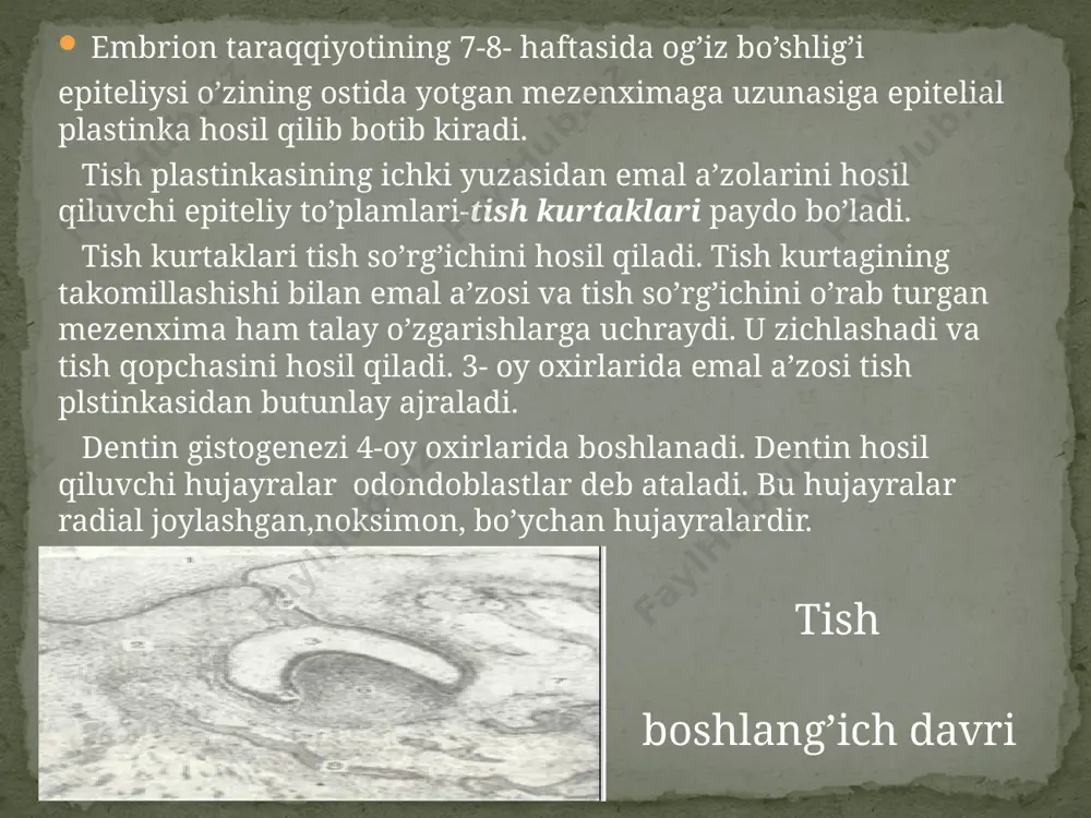 ’zida ham biriktiruvchi to’qima bilan ham qon tomirlar bilan bog’langan bo’ladi. odonblastlar uch boshli nervning nozik oxilari bilan zich o’ralgan. qon bilan ta’minlanishi va innervatysiyasi 1.tishning yumshoq qismiga nimalar kiradi? a) emal,pulpa b)pulpa, periodont c)dentin, periodont d)sement, emal 2.tishning qattiq qismiga nimalar kiradi? a) emal,pulpa b) sement, emal c)dentin, periodont d) pulpa, periodont 3.sut tishlari soni? a)28 b)20 c)24 d)26 4.doimiy tishlari soni? 5.tish taraqqiyoti qachondan boshlanadi? a)20 a)5-6- hafta b)32 b)7-8- hafta c)24 c)6-7- hafta d)26 d)4-5- hafta test. 1. bemor tish og’rig’i tufayli shifokorga murojat qildi. shifokor bemorni yaxshilab ko’rikdan o’tkazib bemorning tishlari yemirilib boshlaganligini aniqladi. ushbu bemorda tishning qaysi qavatlari yemirila boshlagan? 2. 100 yoshdan o’tgan otaxonlardan birining og’iz bo’shlig’ida tishga o’xshash o’simta shakllana boshladi. bu holat qanday ro’y berganligini izohlang. 3. 1 yoshli bolaning sut tishlari soni normada 8 ta bo’lishi kerak, lekin ahmadning tishlari soni 1 yoshida 4 ta. ahmadning sut tishlari chiqishining kechikishiga sabab …
