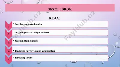 sezgi va idrok — PPTX