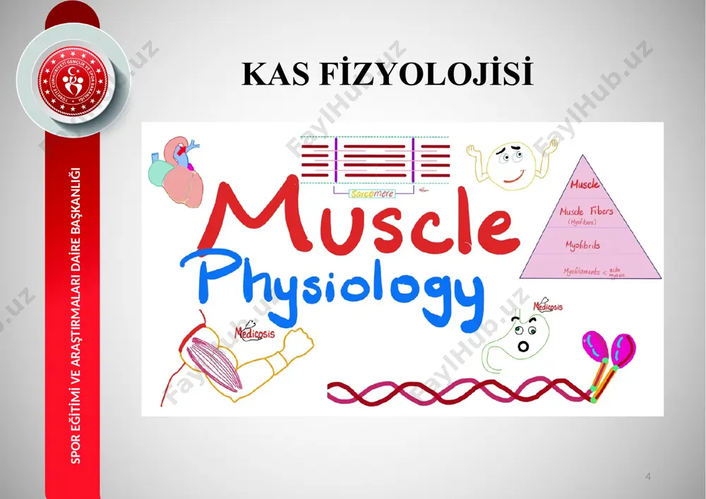 entri̇k i̇zometri̇k konsantri̇k kas li̇fi̇ ti̇pleri̇ 29 spor eği̇ti̇mi̇ ve araştirmalari dai̇re başkanliği 30 spor eği̇ti̇mi̇ ve araştirmalari dai̇re başkanliği 31 spor eği̇ti̇mi̇ ve araştirmalari dai̇re başkanliği 32 spor eği̇ti̇mi̇ ve araştirmalari dai̇re başkanliği arz ederi̇m. 33 spor eği̇ti̇mi̇ ve araştirmalari dai̇re başkanliği image2.jpeg image3.png image4.png image5.png image6.png image7.png image8.jpg image9.png image10.png image11.gif image12.gif image16.png image17.png image13.png image14.png image15.png image18.jpg image19.png image20.jpg image21.jpg image22.gif image23.jpeg image24.png image25.jpg image26.png image27.jpeg media1.mp4 image32.gif image33.png media2.mp4 image28.png image29.png image30.gif image31.gif image34.jpg image35.jpeg image36.gif image37.png image38.gif image39.jpg image40.jpg image41.jpeg image42.png image43.jpeg image44.jpeg image45.png image46.jpg image47.jpg image48.jpg image49.jpeg image50.jpeg image51.png image52.png image1.jpeg /docprops/thumbnail.jpeg