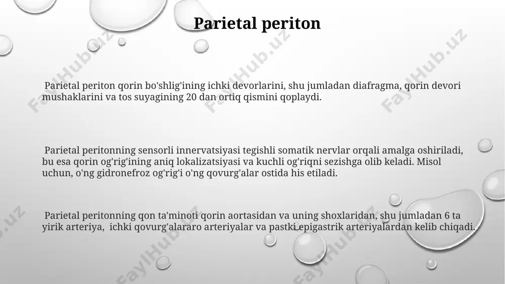 vuqning pastki qismi, ayniqsa, erkaklarda, periton bilan qoplanmagan holda, prostata va seminal vezikulalar bilan bevosita aloqada bo'ladi, bu esa 10-15% hollarda infektsiyalarni tarqalishiga olib kelishi mumkin. qovuqning parietal peritoneum bilan aloqasi 2 ta qatlam orqali amalga oshadi: vezikouretral va retropubik bo'shliqlar orqali, bu esa qovuqning harakatchanligini ta'minlaydi. oshqozon va periton oʻshqozon-ichak traktining koʻp qismi, shu jumladan, oshqozonning katta va kichik egriliklari, peritonning ikki qavatli varaqlari bilan qoplanadi, bu esa mezenteriya hosil boʻlishini ta'minlaydi. oʻshqozonning katta egriligi peritoneal boʻshliqqa 2-3 sm chuqurlikda joylashgan va bu joyda oshqozonning old devori bilan peritonning visseral varaqlari birlashadi. peritonning parietal varaqasi diafragma va qorin devori ichki yuzasini, 10-12 ta qovurgʻalar orasida joylashgan qismi esa jigar bilan aloqada boʻladi. peritonning funksiyalari periton qorin bo'shlig'idagi 3 ta asosiy organ – jigar, oshqozon va ingichka ichakni mexanik shikastlanishlardan himoya qiladi va ularning 20% gacha harakatlanishini ta'minlaydi. peritonning seroz qavati 10 litrgacha suyuqlik ishlab chiqaradi, bu organlar orasidagi ishqalanishni …