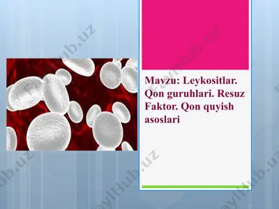 leykositlar haqida — PPTX