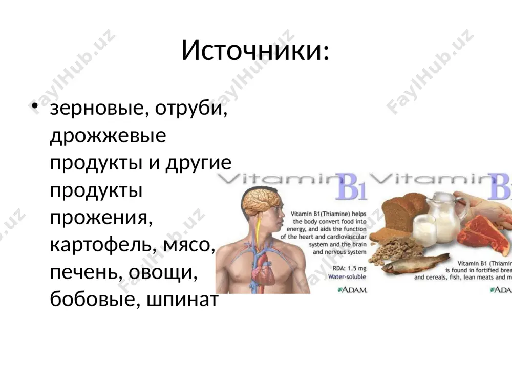 ием приматов и некоторых других животных (например, морских свинок), которые получают её с пищей. наиболее богаты аскорбиновой кислотой плоды киви (1шт – суточная потребность), шиповника, красного перца, цитрусовых, чёрной смородины, лук, томаты, листовые овощи (например, салат). в различных продуктах содержатся разные изомеры аскорбиновой кислоты или ее соединения, например, эфиры, сильно различающиеся по своей витаминной активности и устойчивости к окислению роль витамина с антиоксидант, участвует в синтезе коллагена, обмене тирозина, синтезе катехоламинов и желчных кислот, серотонина из триптофана, кортикостероидов, восстанавливает убихинон и витамин е участвует в сперматогенезе (2 апельсина в день – лечение некоторых форм мужского бесплодия) стимулирует синтез интерферона аскорбиновая кислота также участвует в превращении холестерина в желчные кислоты авитаминоз проявляется через несколько месяцев (атрофия соединительной ткани, нарушение кроветворения, кровоточивость десен) факторы, снижающие содержание витамина с в приготовленной пище: действие никотина действие аскорбатоксидазы, содержащейся в клетках растений и активизирующейся при доступе кислорода (чем мельче нарезаны овощи, тем быстрее в них …