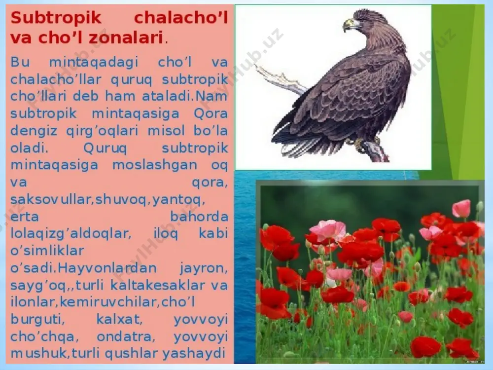 subtropik mintaqaning tabiat zonalari - Page 5