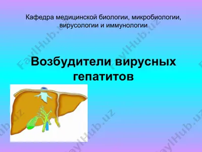 возбудители вирусных гепатитов — PPT