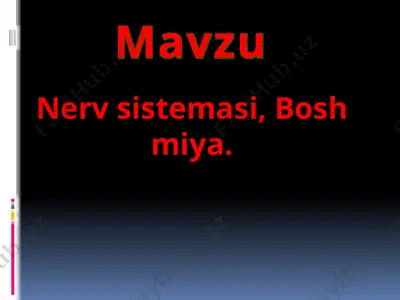 nerv sistemasi, bosh miya — PPTX