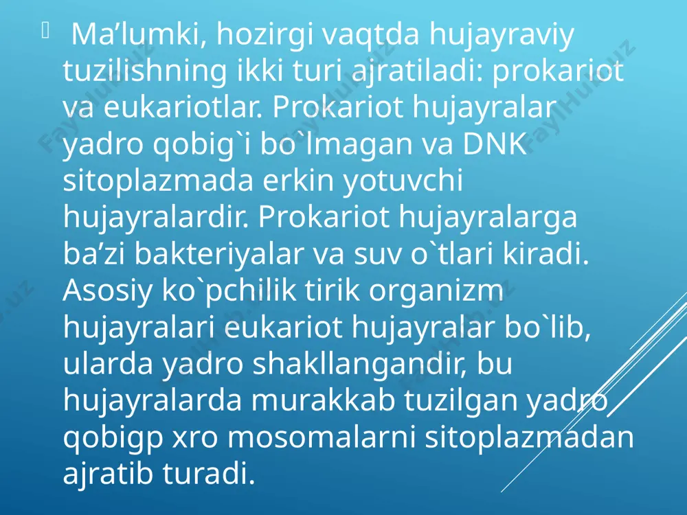 hujayrani tashqi tarafdan o`rab turuvchi sitoplazma qobig`i biologik membrananing o`zidan iborat bo`lishi mumkin. lekin, ko`pincha, hujayra murakkab tuzilgan 3 zonadan: tashqi, o`rta za ichki zonalardan tashkil topgan hujayra (sitoplazma) qobig`i bilan o`ralgan (6-rasm). sitoplazma qobig`ining tashqi izo naciglikokaliks deb nomlanib oqsil va karbonsuvlardan hosil bo`lgan. u elektron mikroskop ostida uzluksiz struktura holida ko`rinadi. glikokaliks tashqi qavat bo`lgani uchun hujayraning tashqi muhit bilan aloqasida muhim rol o`ynaydi. glikokaliks zonasining ximiyaviy tarkibi turli hujayralarda farqlanadi. ba’zi bir hujayralarda glikokaliks moddalarni parchalovchi fermentlarga boybo`lsa, boshqa xujayralardagi glikokaliksni hosil qiluvchi glikoproteidlar immunologik xususiyatga ega. bu esa shu zonaning immunologik jarayonlarda muhim o`rin tutishini belgilaydi. ichak epitelial hujayrasining (enterotsit) mikrovorsinkalari ustidagi glikokaliks moddalar parchalanishida, so`rilishida muhim rol o`ynaydi. u hujayra mikrovorsinkalarini apikal qismining mustahkamligini belgilab, ximiyaviy moddalar va ba’zi bir mikroblar ta’siridan enterotsit hujayralarini saqlaydi. urta zonasi hujayra qobig`ining eng muhim va murakkab tuzilgan qismidir. u elementar biologik membrana tuzilishiga ega bo`lib, lipoproteiddan tashkil topgan. …