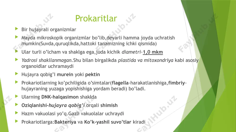 nishlarda joylashgan.koloniyasi ko’pincha tog’li tumanlarda buloq,soy,ariqlarda keng tarqalgan.yaponiya va xitoyda ozuqa mahsuloti sifatida istemol qilinadi.o’rta osiyo cho’llarida tuproq hosil bo’lishida qatnashadi. e’tiboringiz uchun raxmat image1.png image2.jpg image3.jpg image4.jpg image5.jpeg image6.jpg image7.gif /docprops/thumbnail.jpeg