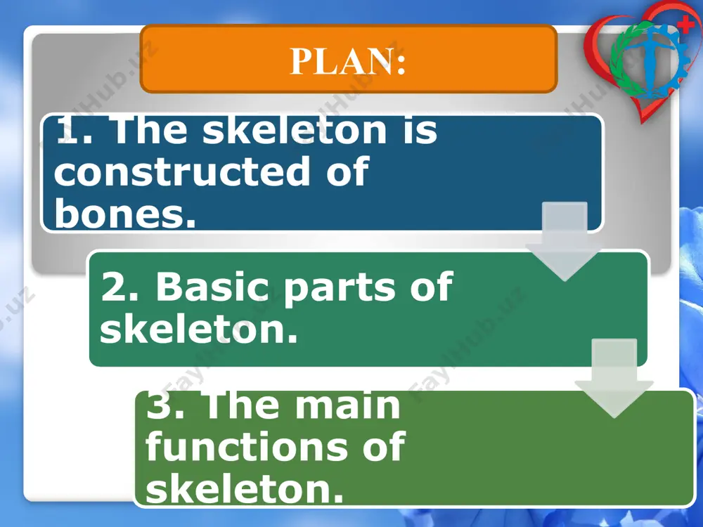main functions? 4. how many bones are there in the skull of an adult? 5. what is the biggest bone in the body? 6. what parts can the skeleton be devided into? 11 test 1. find odd words . a. bone skull rib fibula b. vein artery fracture c. medicine cotton x ray d. ulna femur heart 2. choose the right answer. a bone that curves round from your back to your chest. a. lumbar b. coccyx c. ribs d. skull 3. the line of bones down the center of the back that provides support for the body and protects the spinal cord. a. vertebra b. spine c. sacrum d. humerus 4. any one of the small bones of the fingers and toes. a. temporal b. scapula c. phalanges d. tibia 5. a long thin bones in the lower part of your arm. a. ulna b. jaw c. rib d. …