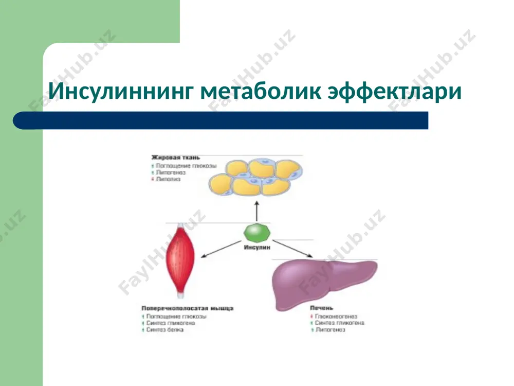 моддалар алмашинуви хасталиклари - Page 5