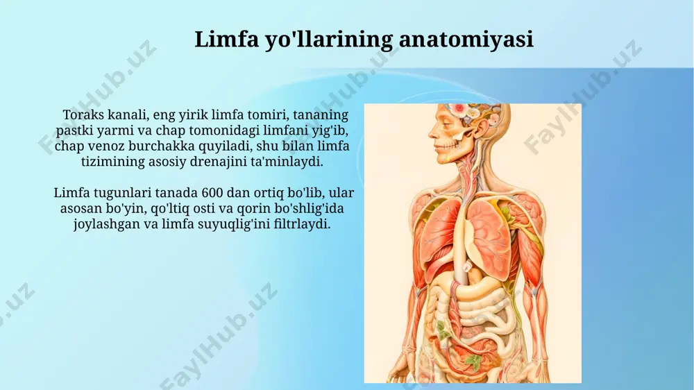 tanib olish va yo'q qilishda muhim rol o'ynaydi, shu bilan immunitet javobini boshlaydi. b-limfotsitlari limfa tugunlarida ko'payadi va antitellar hosil qiladi, bu esa patogenlarni zararsizlantirishda va ularni tanadan chiqarib yuborishda muhim ahamiyatga ega. limfoma va leykemiya limfoma turli xil shakllarda uchraydi, xuddi shunday leykemiyaning ham 4 asosiy turi (all, aml, cll, cml) mavjud bo'lib, har biri turli xil hujayralarga ta'sir qiladi va turli davolash usullarini talab qiladi. limfoma diagnostikasi ko'pincha biopsiya orqali amalga oshiriladi, leykemiya diagnostikasi esa qon tekshiruvi va suyak ko'migi aspiratsiyasi orqali aniqlanadi, bu ikki kasallikni tashxislash usullarida farq mavjud. limfa tomirlari va tugunlari limfa tugunlari tanada 600 dan ortiq bo'lib, ular limfa suyuqligidagi bakteriyalar, viruslar va boshqa zararli moddalarni filtrlaydi va immun javobini ishlab chiqaradi. limfa tugunlari guruhlari, masalan, bo'yin, qo'ltiq osti va qorin bo'shlig'ida joylashgan bo'lib, tegishli hududdagi infektsiyalar yoki saraton hujayralarining tarqalishini aniqlashda muhim rol o'ynaydi. limfa tizimining diagnostikasi limfangiografiya, limfa yo'llarini rentgen kontrasti bilan …