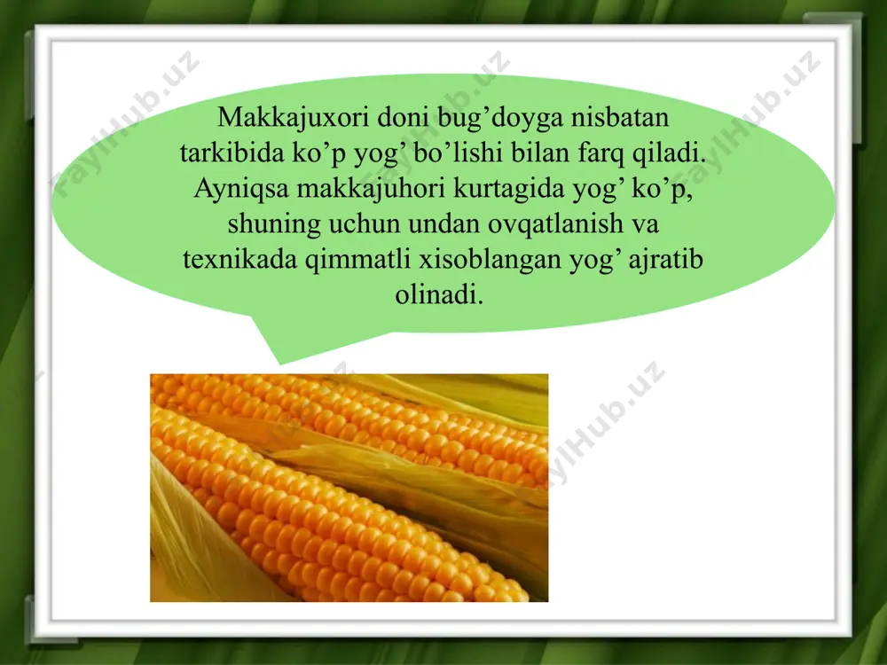o‘simlik tuzilishining asosi uglevodlar - Page 5