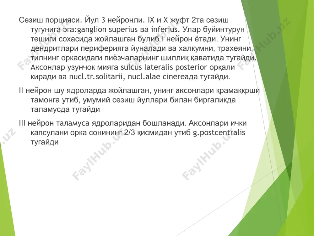rini innervatsiya kiladi. bolalarda 2-3 yoshgacha fiziologik xisoblanadi. keyinchalik bosh miya yarim sharlari pustlogi ularni tormozlaydi. ushbu strukturalar zararlansa oral avtomatizm reflekslari paydo buladi. ular yuzning oral soxasini ta'sirlantirish natijasida chakiriladi adabiyotlar asosiy duus' topical diagnosis in neurology mathias baehr, michael frotschergermany, 2012, str. 194-207 adams and victor’s principles of neurology 2014, str. 550-560 kushimcha. rabochaya programma po predmetu nevrologiya, detskaya nevrologiya 2016 g. topicheskaya diagnostika zabolevaniy nervnoy sistemi. a. a. skoromets, a. p. skoromets, t. a. skoromets, 2004 g., str. 126-131. badalyan l. o., «detskaya nevrologiya», 1984 , str. 153-160 internet resursi www.neuronet.ru www.neuro-med.ru www.eurolab.ua e'tiboringiz uchun raxmat