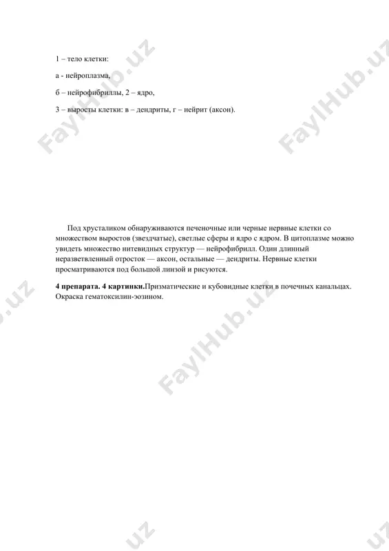 klitka praparati - Page 3