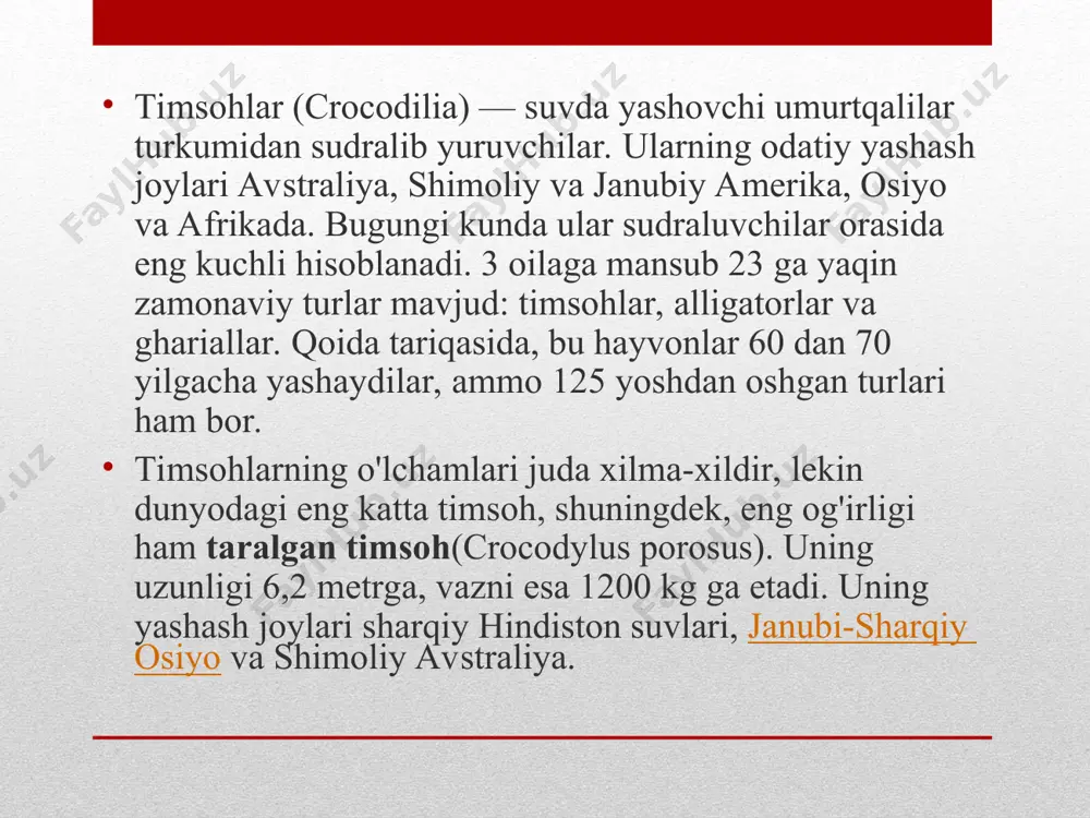 laning eng keng tarqalgan a'zolaridir. hajmi bo'yicha ular tizmalardan keyin ikkinchi o'rinda turadi - o'rtacha tana uzunligi 4 metr. ushbu turning eng katta vakili 1948 yilda viktoriya ko'li hududida ushlangan, uning uzunligi 6,4 metr, og'irligi esa bir yarim tonna edi. nil timsohlarining assortimenti keng bo'lib, ular hududiga qarab norasmiy tasnifni oldilar - efiopiya, sharqiy afrika, malagasi, nil timsohlari kanniballarning ayanchli shon-shuhratiga ega - timsohlar guruhining qolgan a'zolaridan ko'ra ko'proq odamlar hujumlardan o'lgan. turli manbalarga ko'ra, har yili bu sudraluvchilarning tishlarida 1000 ga yaqin odam nobud bo'ladi.markaziy afrika, keniya va boshqalar. nil timsoh sherni o'ldirishga qodir. kaymanlar piranya va kapibara populyatsiyalarini tartibga solishda muhim rol o'ynaydi yirtqichlar orasida taroqli timsohlar eng katta tishlash kuchi bilan ajralib turadi - jag'larning kuchi 2,5 tonnaga etadi. bu sudralib yuruvchilar ham chuchuk, ham sho'r suvda erkin yashaydilar. ba'zan ular ochiq okeanga suzishadi, u erda ular bir oy yoki undan ko'proq vaqtni o'tkazadilar va shu vaqt …