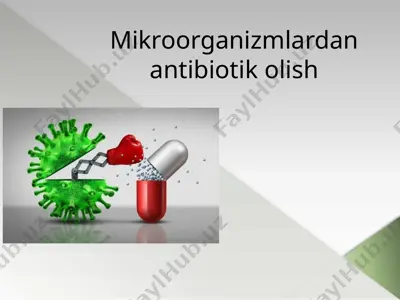 mikroorganizmlardan antibiotik olish — PPTX