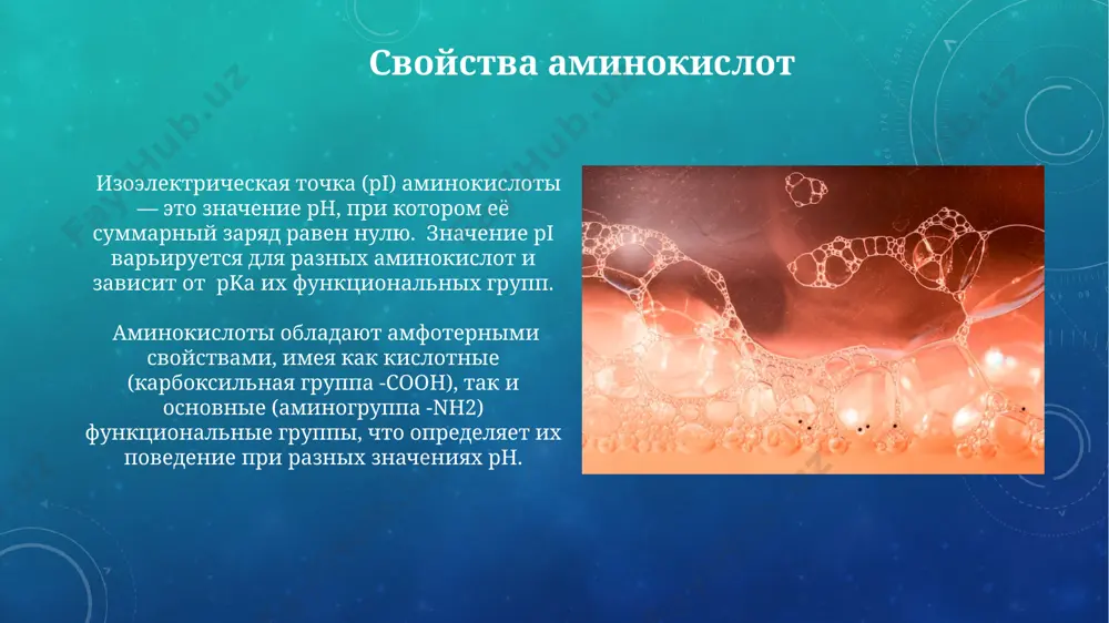 a sistema, osnovnoy put degradatsii, ispolzuet ubikvitin-ligazi dlya mecheniya belkov, prednaznachennix dlya razrusheniya, s posleduyushim rasshepleniem 26s proteasomoy. lizosomalnaya proteoliticheskaya sistema, alternativniy put, xarakterizuetsya nizkim ph (okolo 5) i uchastiem razlichnix kislotnix gidrolaz, obespechivayushix rassheplenie belkov do aminokislot. primenenie aminokislot v meditsine nezamenimie aminokisloti, takie kak lizin i triptofan, primenyayutsya v sostave lekarstvennix preparatov dlya lecheniya razlichnix zabolevaniy i defitsitnix sostoyaniy, dozirovka kotorix strogo opredelena. aminokisloti ispolzuyutsya v pishevoy promishlennosti v kachestve pishevix dobavok, naprimer, l-glutaminovaya kislota (e620) vistupaet usilitelem vkusa i soderjitsya bolee chem v 200 produktax. budushee issledovaniy aminokislot issledovaniya fokusiruyutsya na razrabotke novix metodov sinteza redkix aminokislot, takix kak 5-gidroksitriptofan (5-htp), dlya uluchsheniya effektivnosti lecheniya neyrodegenerativnix zabolevaniy. bolee 30% tekushix issledovaniy aminokislot posvyasheno izucheniyu ix roli v modulyatsii immunnogo otveta, otkrivaya novie puti dlya razrabotki immunoterapevticheskix preparatov. ximicheskoe stroenie aminokislot sushestvuet 20 standartnix aminokislot, kodiruemix geneticheskim kodom, razlichayushixsya po ximicheskomu stroeniyu i svoystvam svoix r-grupp, kotorie mogut …