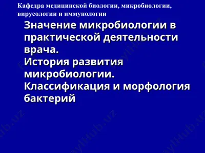 микробиология в практической деятельности врача — PPT